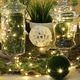Lampki choinkowe Springos 10 LED białe ciepłe 5