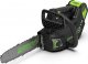 Piła łańcuchowa Greenworks GD40TCS 40 V 25 cm 1