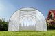 Focus Garden Szklarnia 600 cm x 300 cm x 200 cm 2