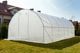 Focus Garden Szklarnia 600 cm x 300 cm x 200 cm 5