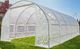 Focus Garden Szklarnia 600 cm x 300 cm x 200 cm 7