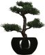 Atmosphera Drzewko bonsai w czarnej doniczce 36 cm 3