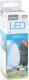 Omega LED BULB ECO CANDLE 42961 2