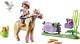 Playmobil Collecting Pony Icelandic (70514) 1