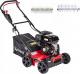 Cedrus Wertykulator Spalinowy do Trawy Aerator 2w1 5.5 KM (WR01) 1