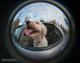 Obiektyw Lensbaby 5.8mm f/3.5 Fisheye (LB-CFEC) 4