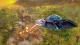 Destroy All Humans PS4 4