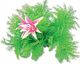 Happet HAPPET ROŚLINA FOLIA 10CM / 1F12 1