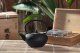 Bredemeijer Bredemeijer Teapot Tibet 1,2l Cast Iron black 153012 5
