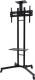 Neomounts Stojak podłogowy PLASMA-M1700E 32'' - 55'' 1