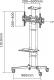 Neomounts Stojak podłogowy PLASMA-M1700E 32'' - 55'' 3