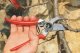 Sekator Felco 2 Classic nożycowy 8