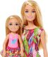 Lalka Barbie Mattel Barbie Chelsea zestaw urodzinowy+zwierzątka 2
