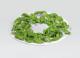 Suszarka Concept SO1020 2