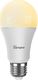 Sonoff Smart żarówka LED Sonoff B02-B-A60 (Biała) 1