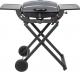 Teesa BBQ 1000 Grill ogrodowy gazowy 3.2 kW 33 cm x 46.5 cm 3