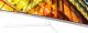 Monitor Samsung U32R591CWR (LU32R591CWRXEN) 5