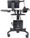 Ergotron TeachWell II 24-220-055 5