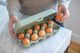 Koziol Pojemnik na jajka Eggs To Go org. Green 3179668 4