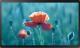 Monitor Samsung QB24R-T (LH24QBRTBGCXEN) 1