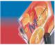 Esselte woreczki do laminacji A4 80 micron (33818) 2