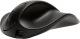 Mysz Hippus HandShoe L (L2WB-LC) 1