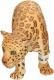 Figurka Schleich Jaguar (SLH14359) 3