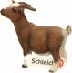 Figurka Schleich Koza karłowata (SLH-13715) 3