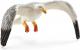 Figurka Schleich Mewa (SLH-14720) 1