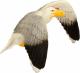 Figurka Schleich Mewa (SLH-14720) 2