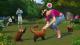 The Sims 4 wersja podstawowa + Psy i koty PS4 5