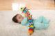 Tomy Lamaze Gąsienica LC27244 2