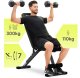 Zipro Stride + Gym Straps 10