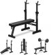 Zipro Core + Gym Straps 2
