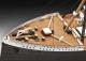 Revell R.M.S. Titanic 100th Anniversary - 05715 5