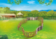 Playmobil Zagroda (6656) 1