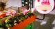 Robotime Technology ROBOTIME Składany Drewniany Model Puzzle 3D Cukiernia 6