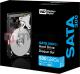 Dysk WD 500 GB 3.5" SATA II (WD5000AAKS) 4