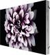 Monitor Samsung The Wall IW016J (LH016IWJMWS/XU) 7