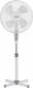 Wentylator Botti FS-16D Sirocco 1