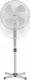 Wentylator Botti FS-16D Sirocco 1