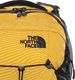 Plecak turystyczny The North Face Borealis 28 l 2