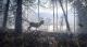 The Hunter Call Of The Wild 2019 Edition PS4 2