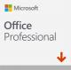 Microsoft Office Professional 2019 (269-16805) 1