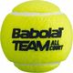 Babolat Team All Court - 4 Piłki do tenisa ziemnego (P8670) 1
