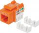 Intellinet Network Solutions Moduł keystone Cat.5e, UTP, RJ45, zaciskany, pomarańczowy (210577) 1