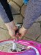 Bimbo Bike Vaikiškas dviratis Bimbo Bike 12" Girl Butterfly, rožinis 4