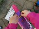 Bimbo Bike Vaikiškas dviratis Bimbo Bike 12" Girl Butterfly, rožinis 5