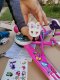 Bimbo Bike Vaikiškas dviratis Bimbo Bike 12" Girl Butterfly, rožinis 8