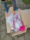 Bimbo Bike Vaikiškas dviratis Bimbo Bike 12" Girl Butterfly, rožinis 9